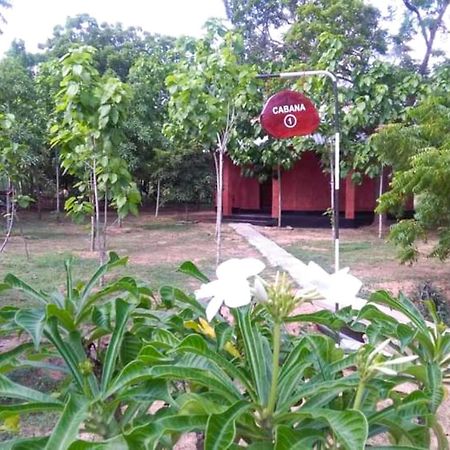 Lavish Eco Jungle Hotel Tissamaharama Exterior photo