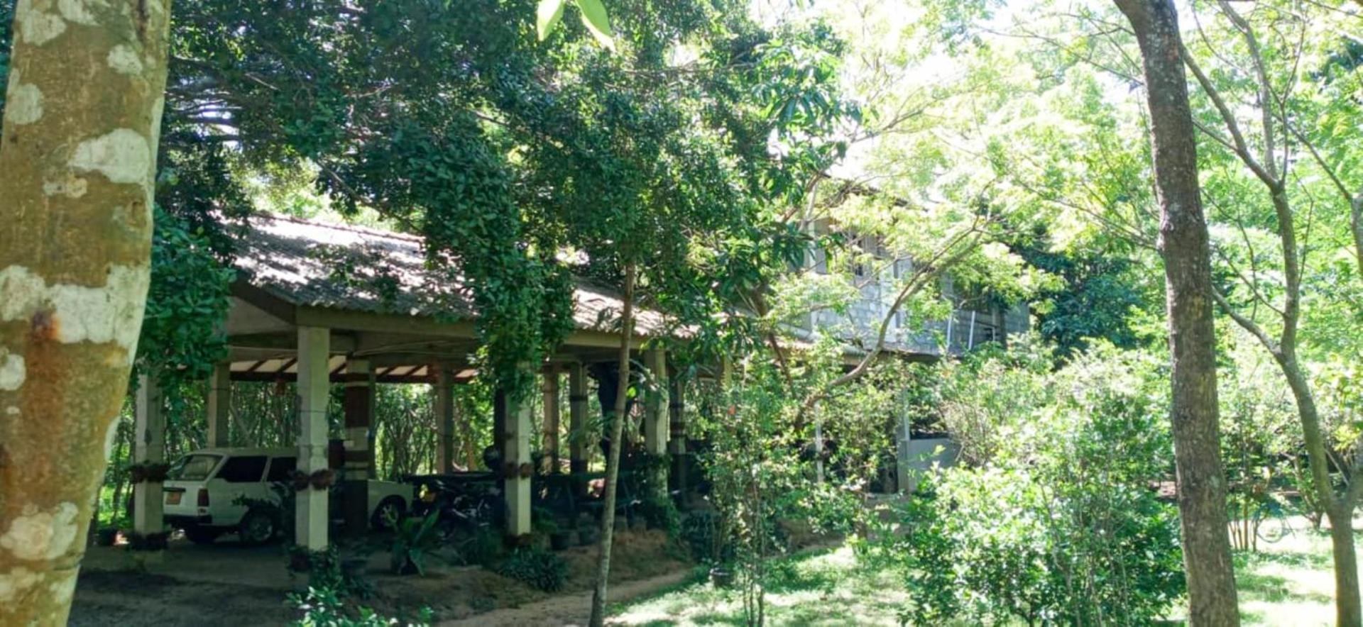 Lavish Eco Jungle Hotel Tissamaharama Exterior photo